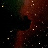 Barnard 33 Horsehead Nebula; Steve Slivan