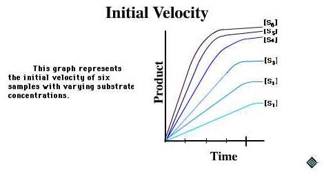 Initial Velocity - 2