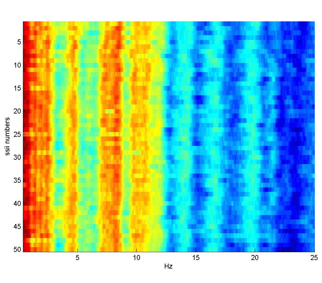 Rythm spectograms of bird songs