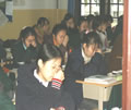 girls studying at desks