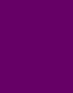purple description box
