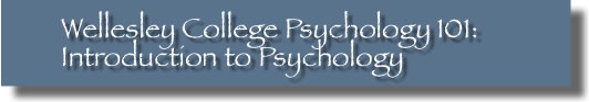 Banner: Psychology 101, Theran